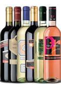 15 Flaschen apulische Weine