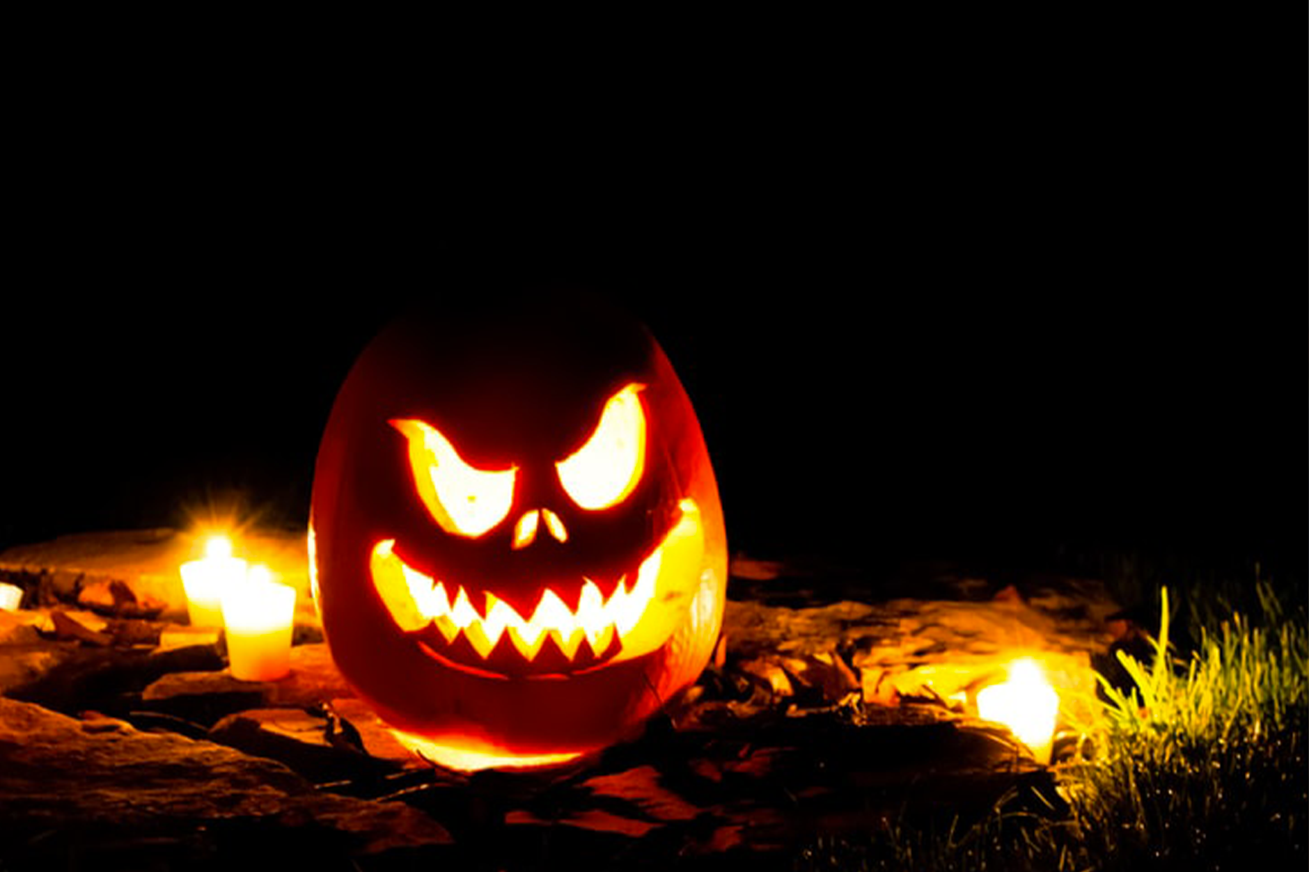 5 Filme (und Weine) für ein gruselfreudiges Halloween 5 Filme (und Weine) für ein gruselfreudiges Halloween