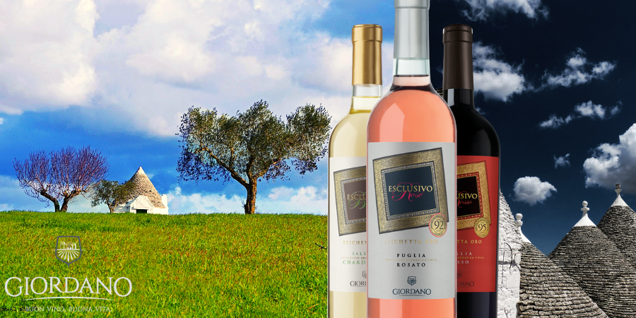 Die besten apulischen Weine? Entdecken Sie die Spitzenprodukte der Region!