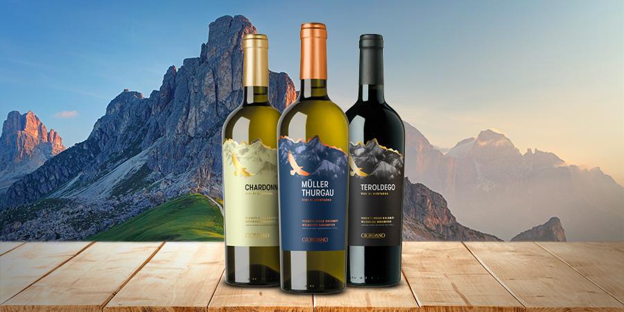 Eine Reise unter die Trentino Weine Eine Reise unter die Trentino Weine