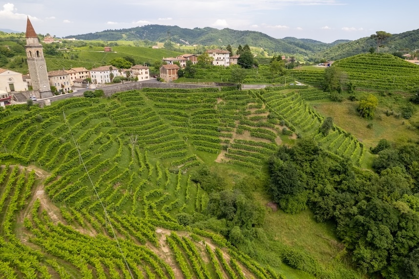prosecco sorten conegliano venetien prosecco sorten conegliano venetien