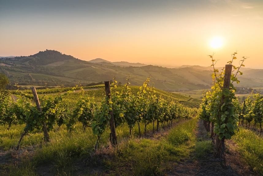Produktionsgebiete und Eigenschaften der lombardischen Rot- und Weiweine